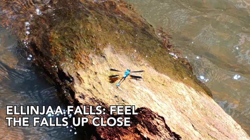 Ellinjaa Falls: Feel the falls up close u copy
